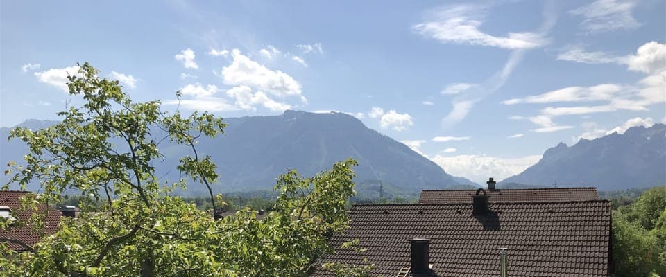 Apartment (Alpenpanorama) | View from room