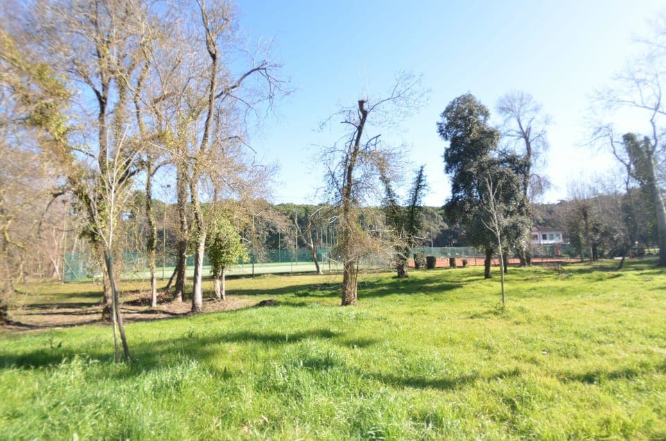 Natural Landscape, Nature, Tree, Pasture, Natural Environment, Land Lot, Nature Reserve, Meadow, Property, Grass