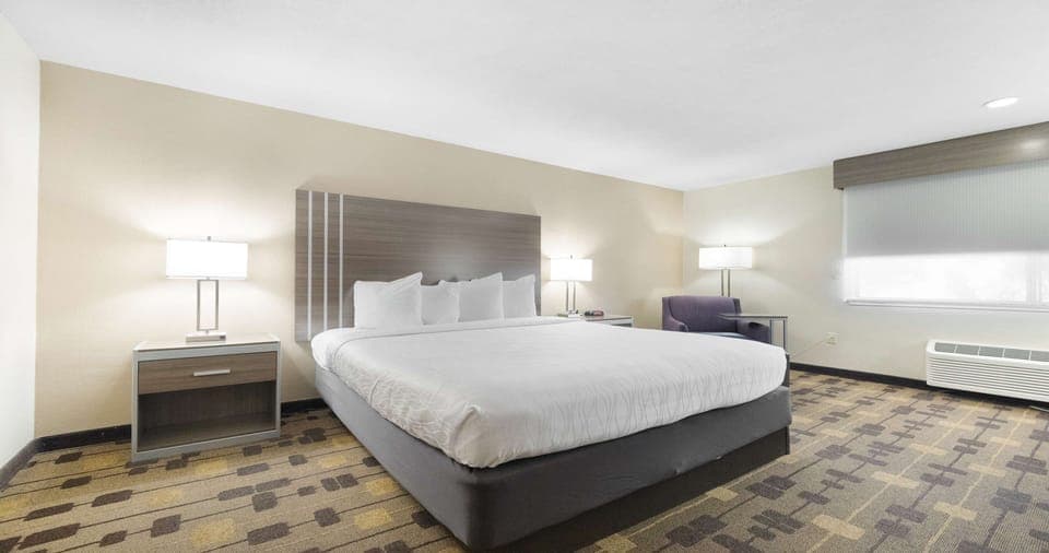 Standard Room, 1 Queen Bed, Non Smoking, Refrigerator & Microwave | Blackout drapes, iron/ironing board, WiFi, bed sheets