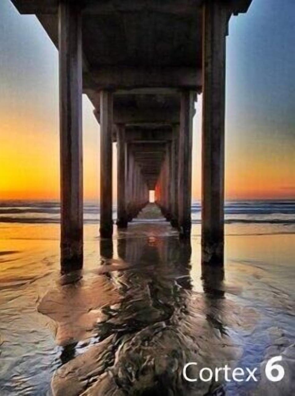 Walk to the Scripps Pier
