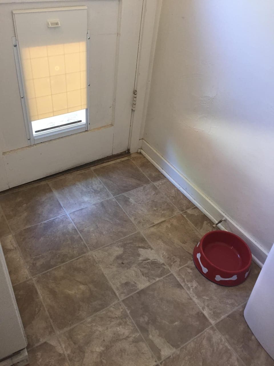 Door to backyard with dog door. 