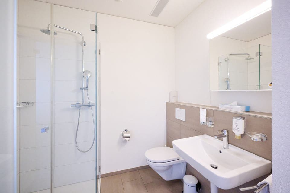 Premium Double Flex (Optional Sofa Bed - Self Setup) | Bathroom | Shower, hair dryer, towels