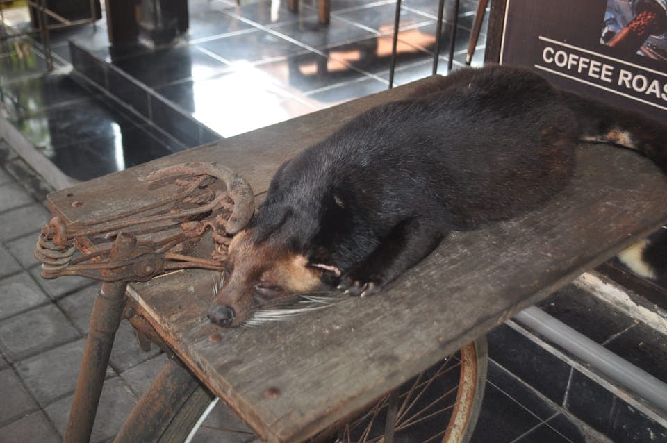 Standard Double or Twin Room | View from room