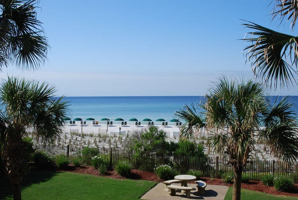 Ocean Front View
