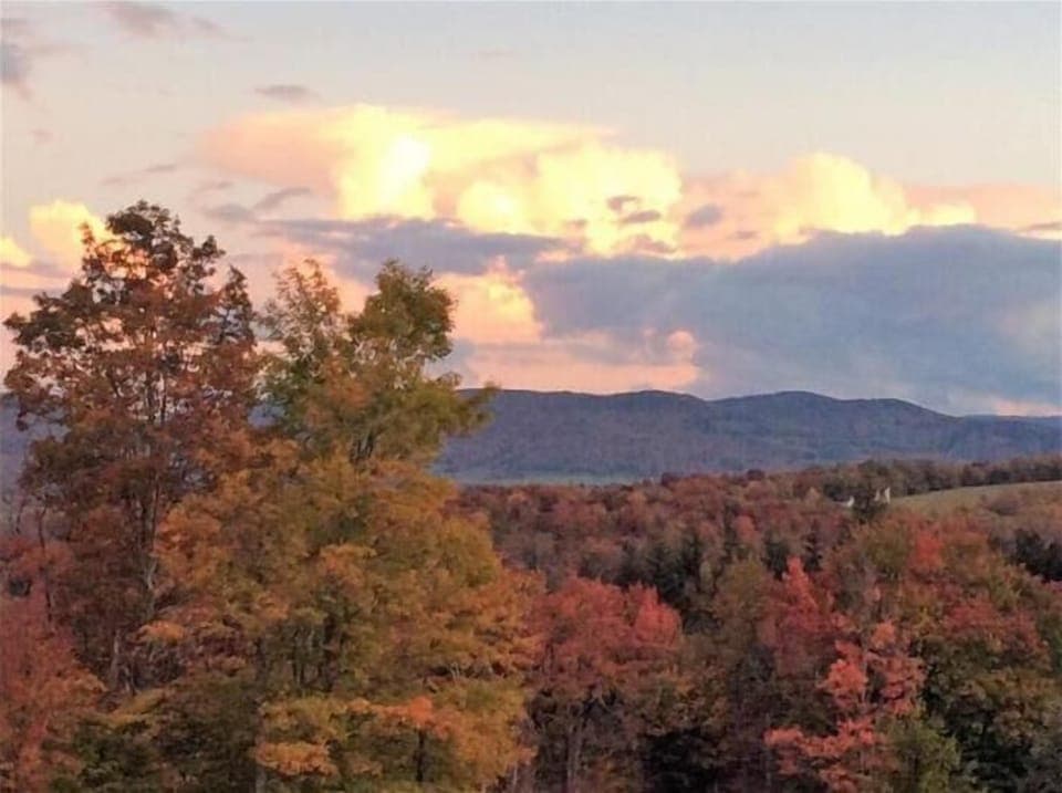View from House