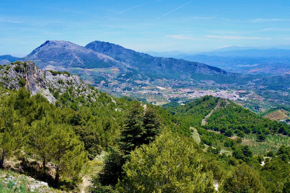 Mountain walk with views of Yunquera
