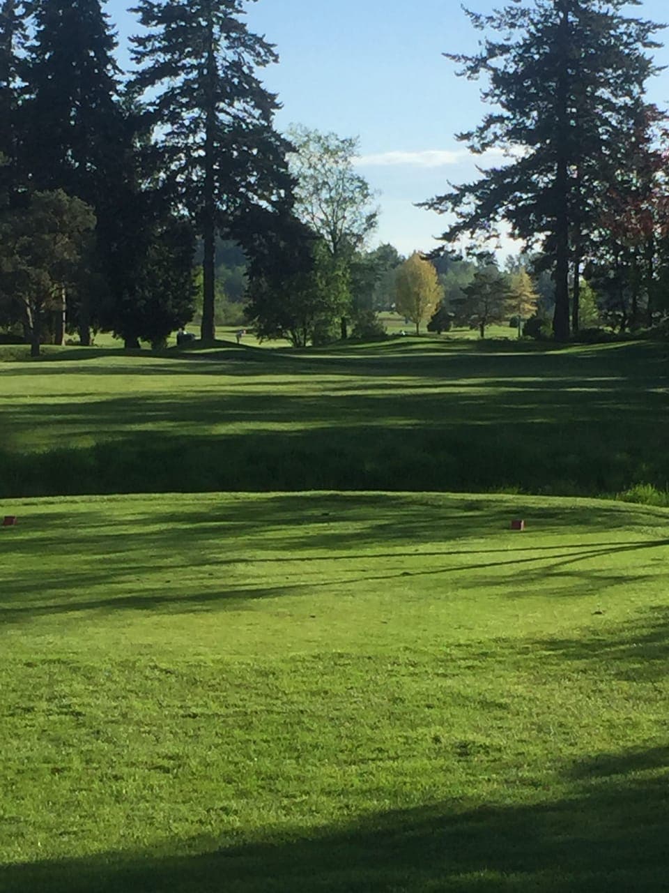 Plenty of Golf courses for every level of player