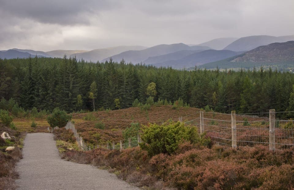Across the moor on the Badenoch Way