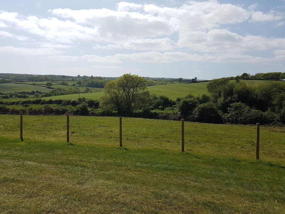 Tent | View from room