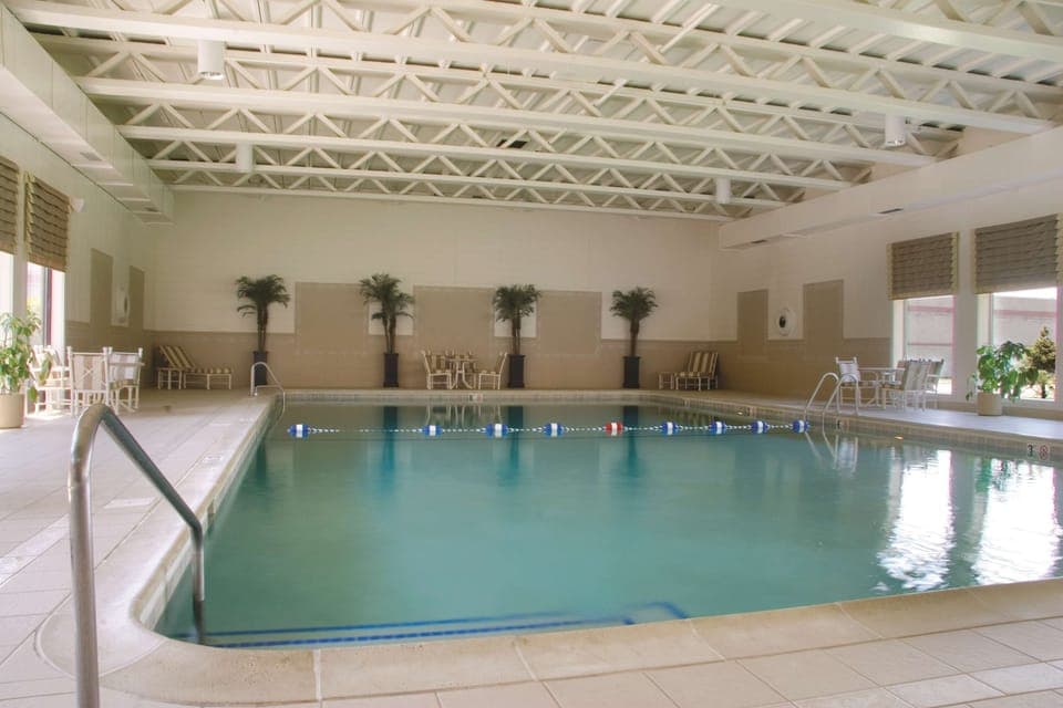Indoor pool, sun loungers