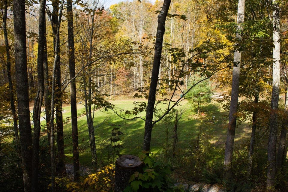 View from covered Porch!