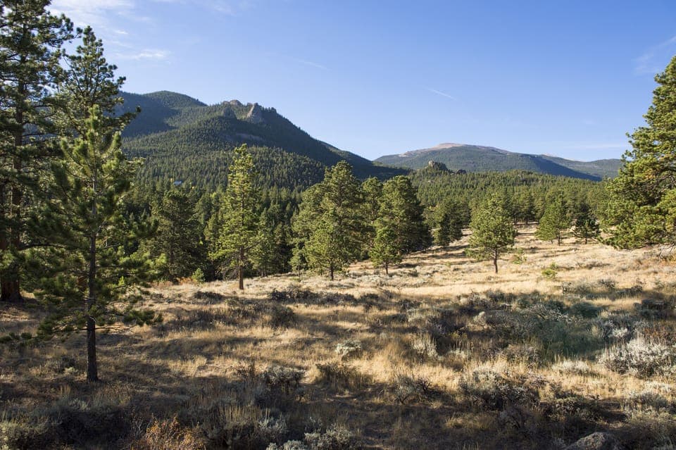 Open meadow from deck