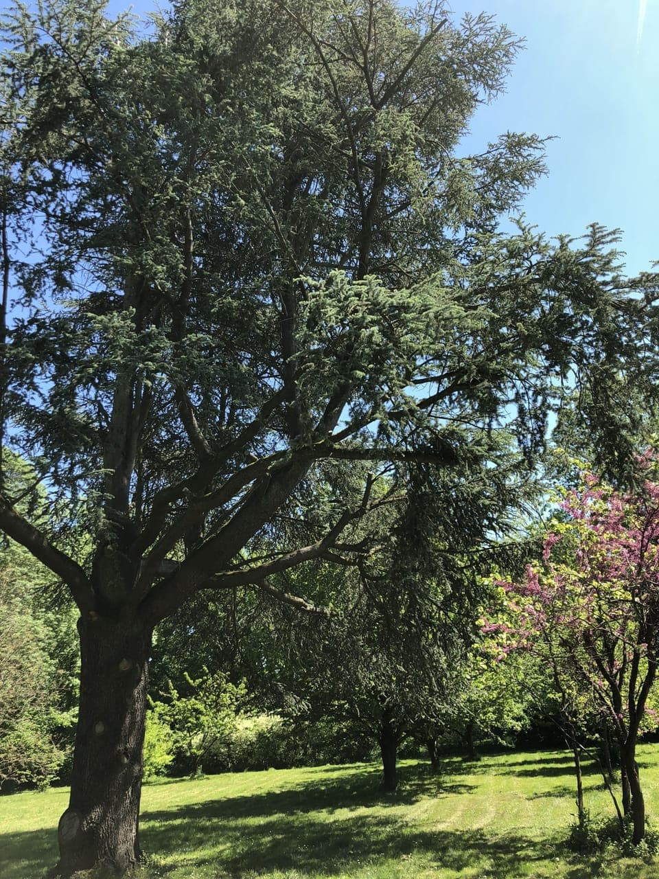 Executive Room | View from room