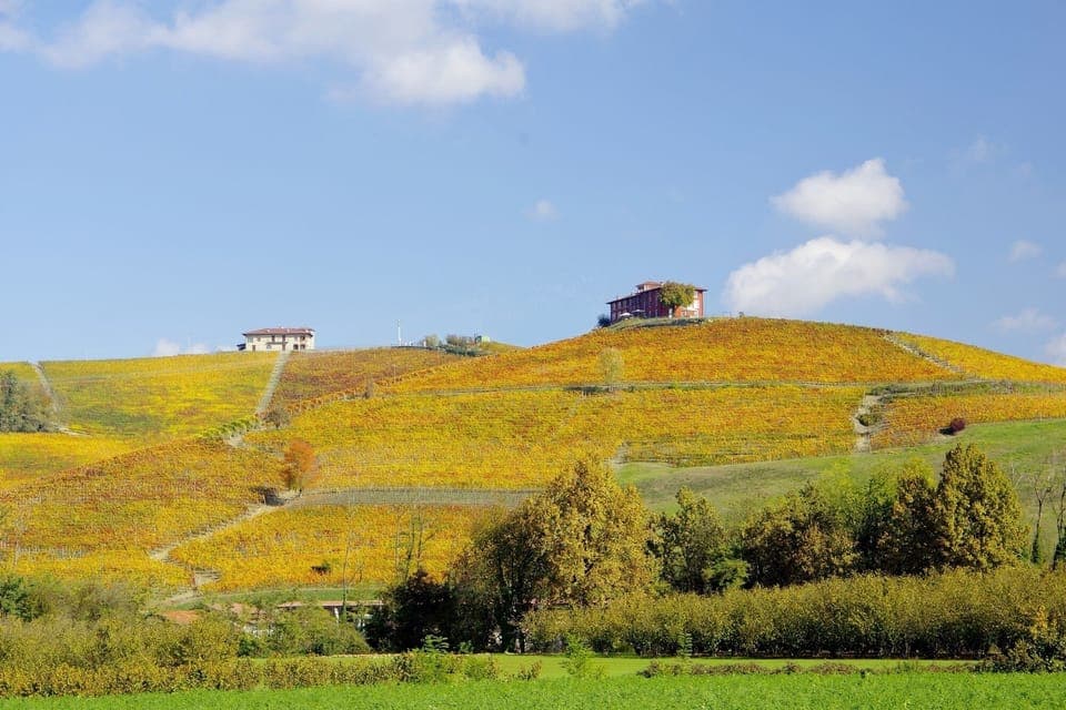 Land view from property