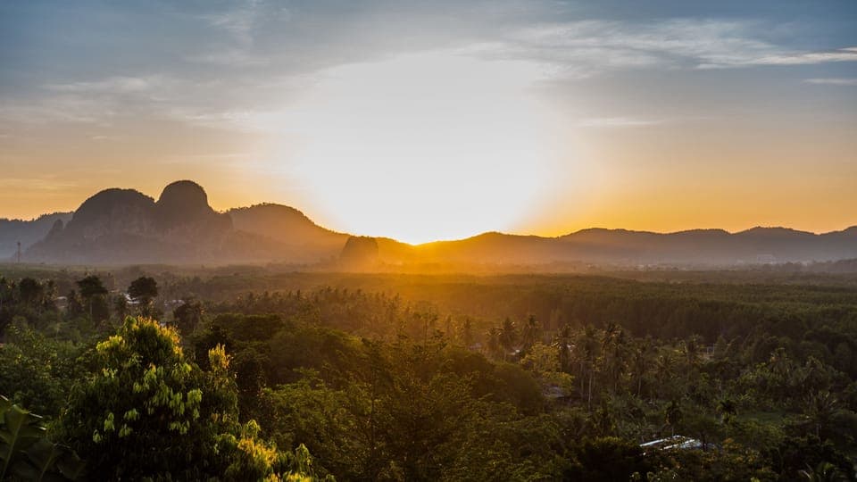 Standard Villa  | View from room