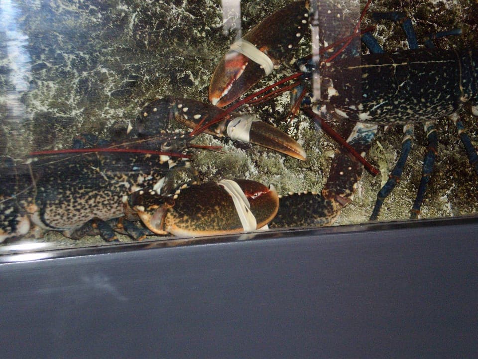 Lunch and dinner served, French cuisine