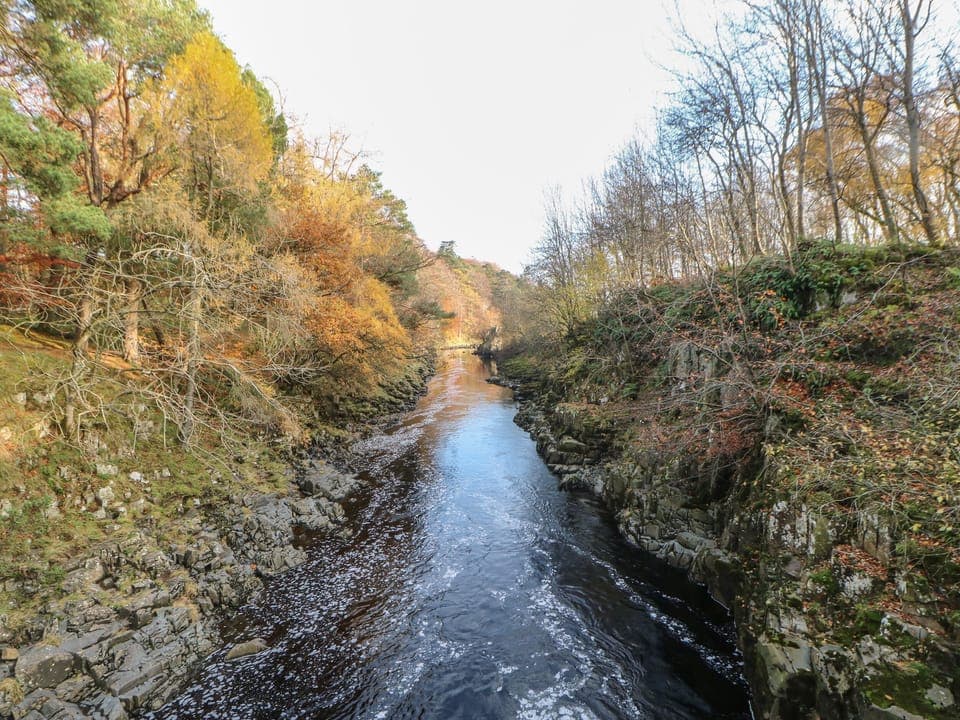 Cottage | Miscellaneous