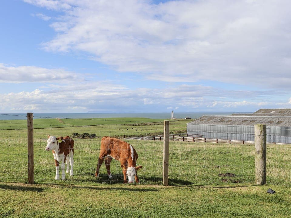 Cottage | Miscellaneous