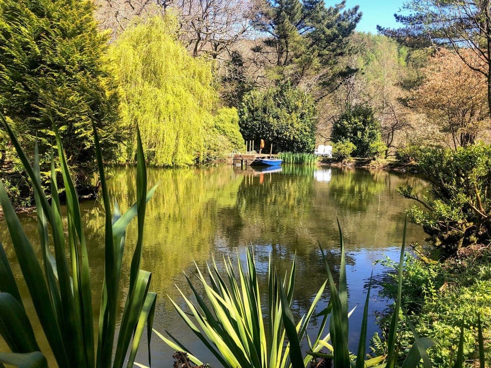 Cottage | Miscellaneous