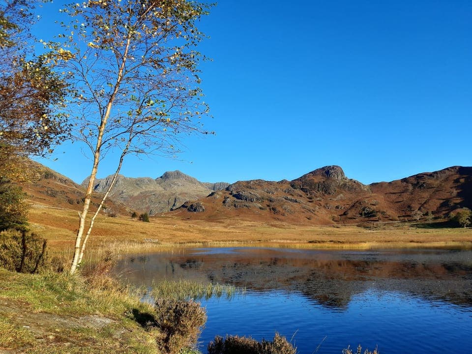 Cottage | Property grounds