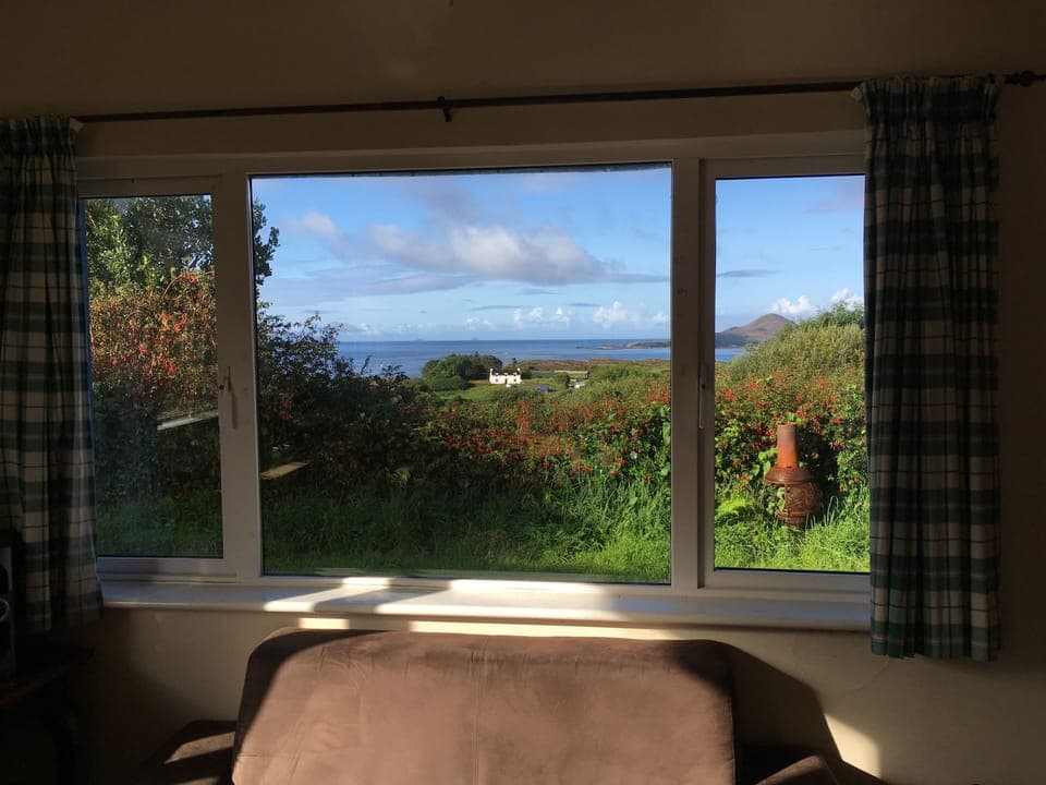 view from kitchen