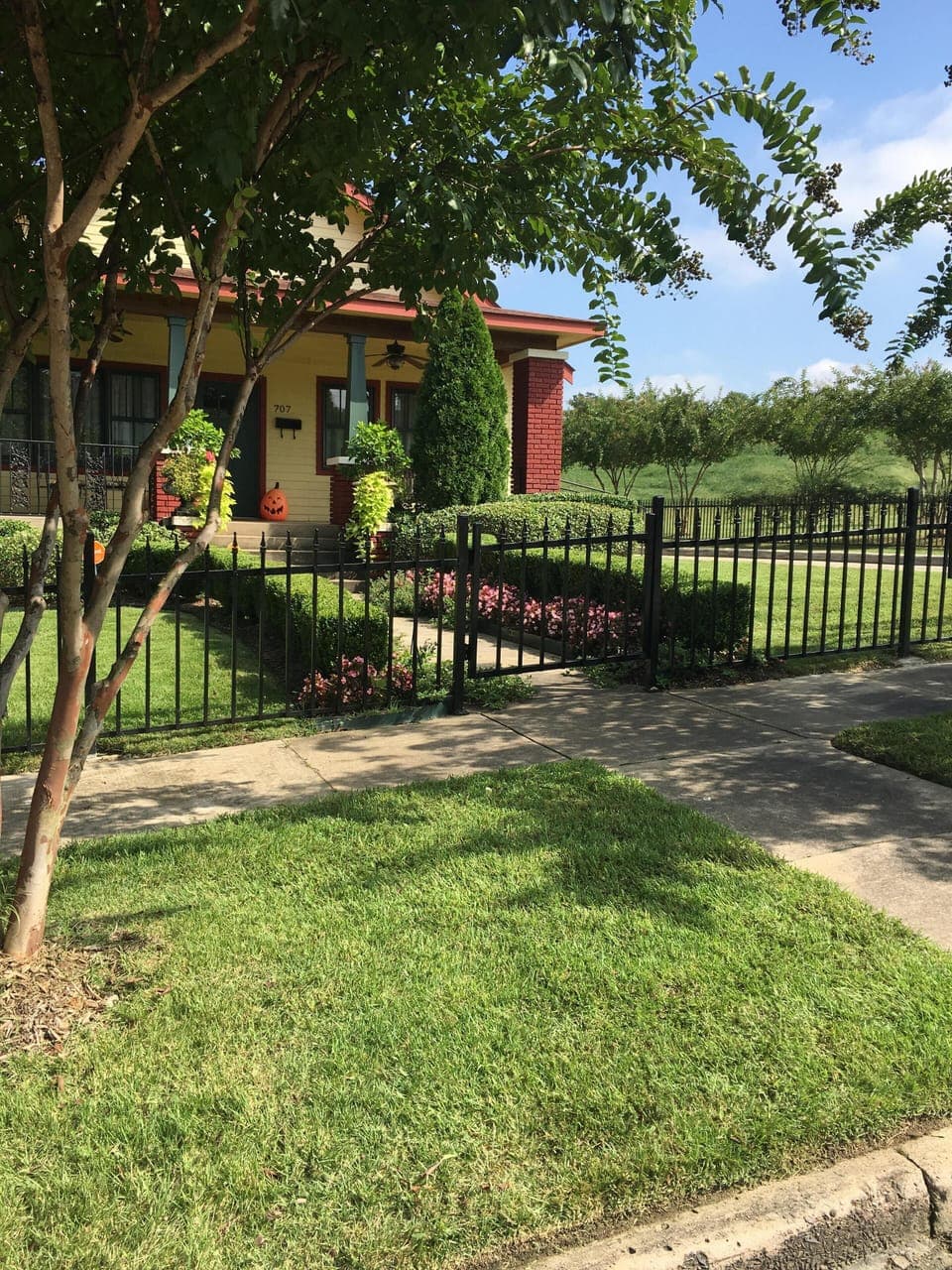 We just added  a new fence this is the most recent picture taken Oct '18