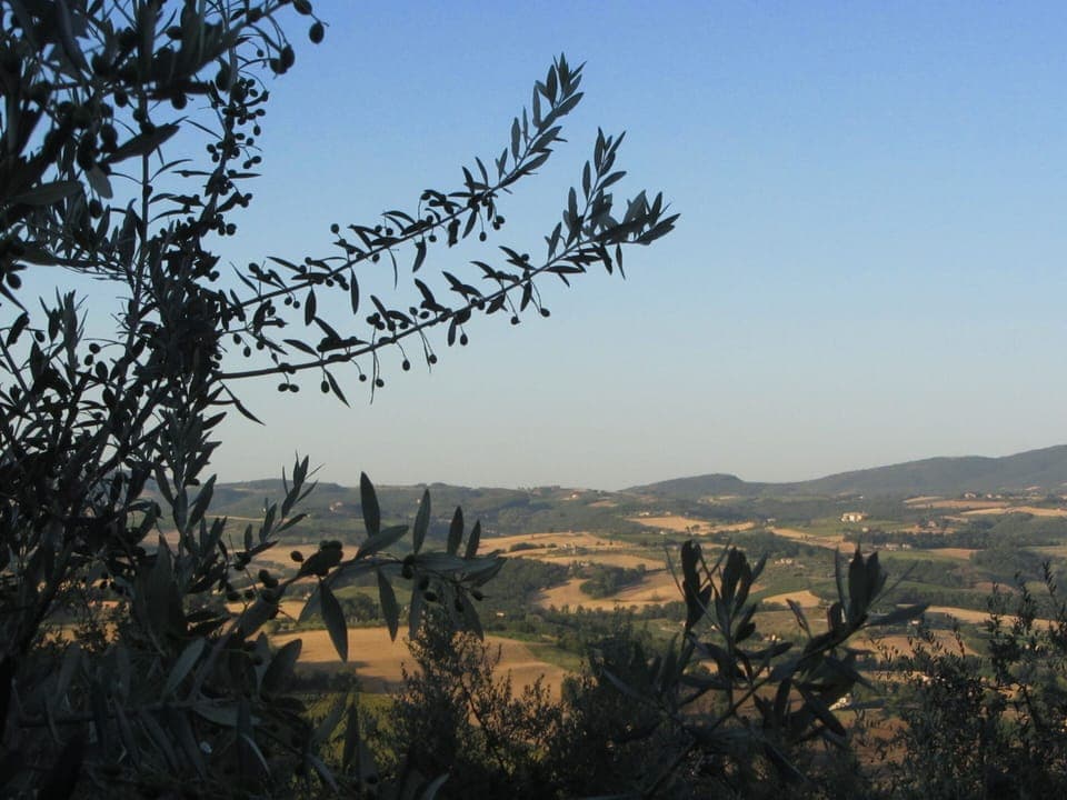 View from the bedroom