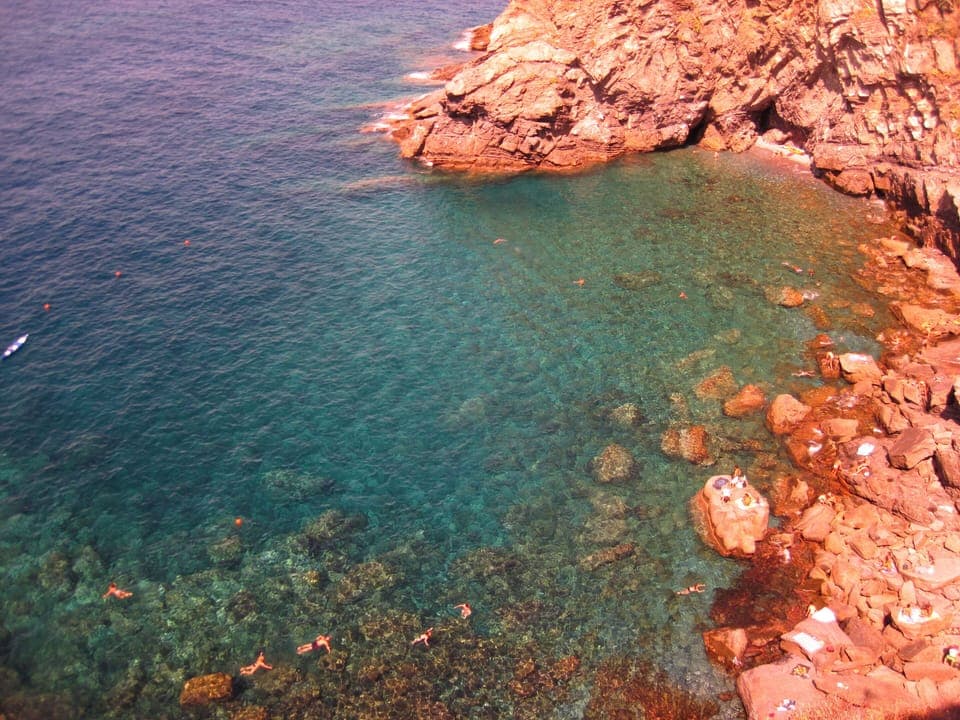Swimming in the Marina