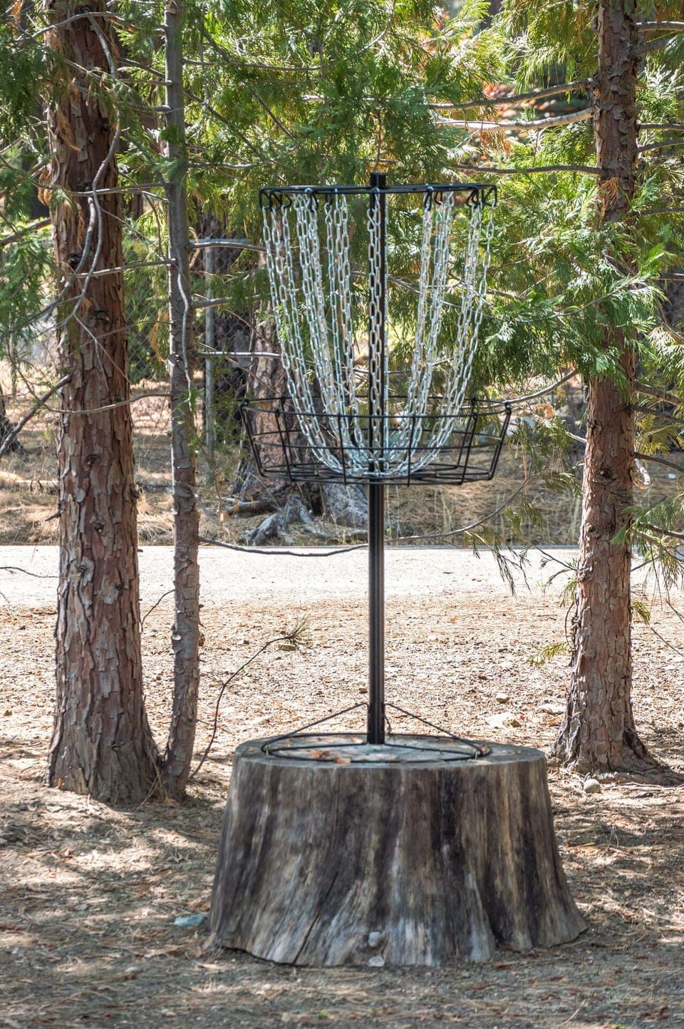 Disc Golf Basket, Discs for practicing are in the garage
