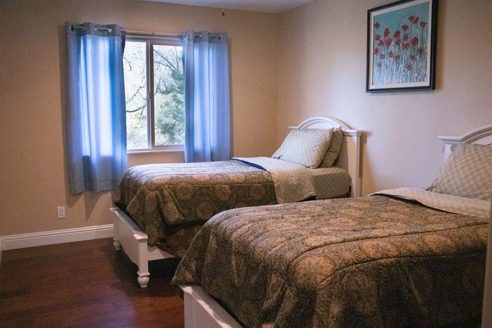 Windows throughout the house providing lots of natural lighting. 