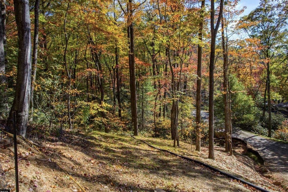 Gorgeous natural surroundings