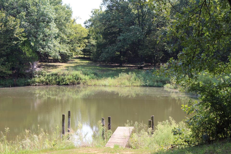 Our Fishing Pond and dock. We have bass, perch and catfish.