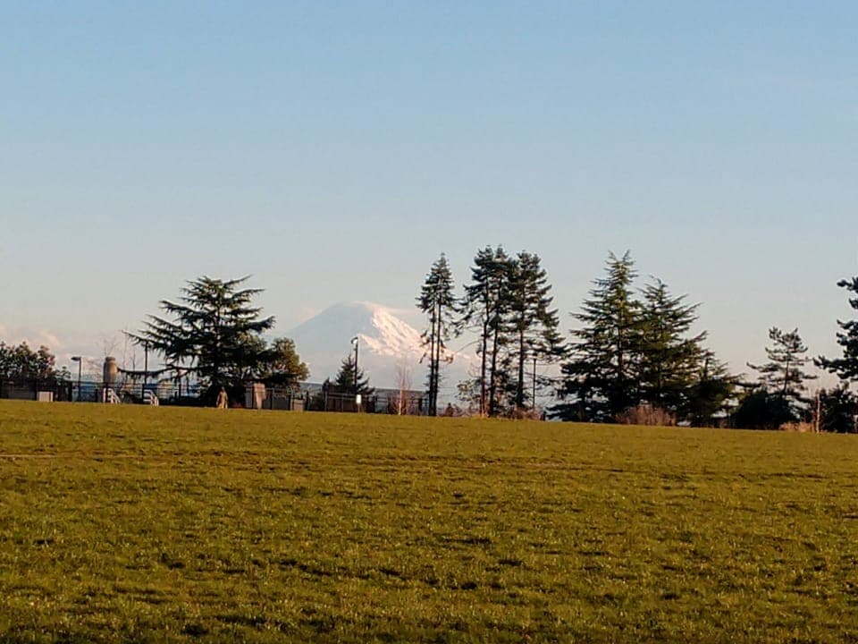 Maple Leaf Park with stunning Mt Rainier view, great jogging paths