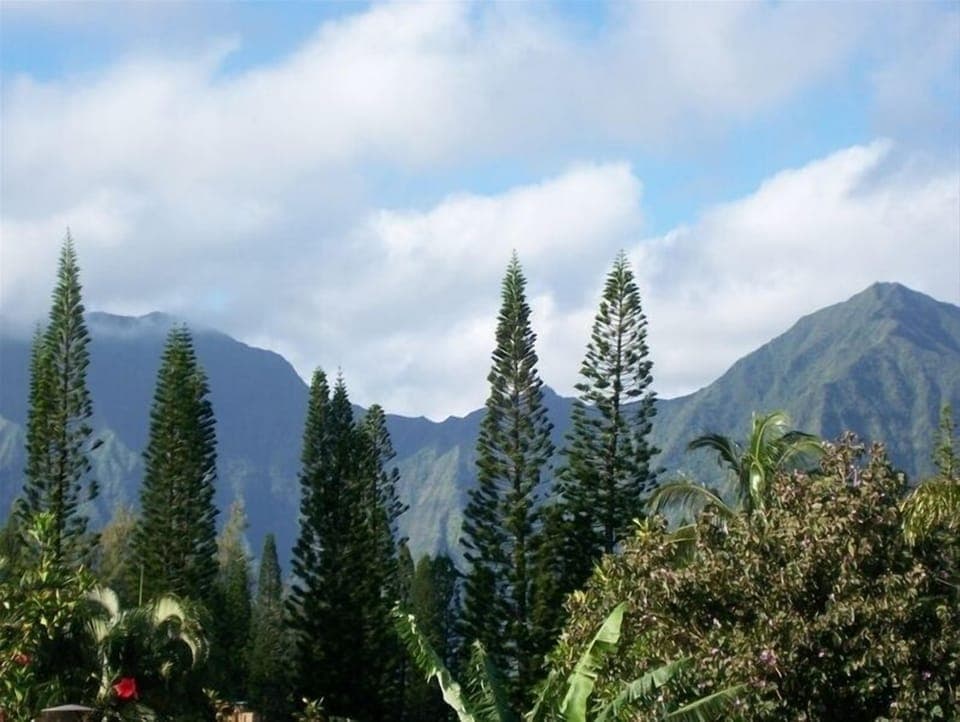 Views of the Na Pali mountains.