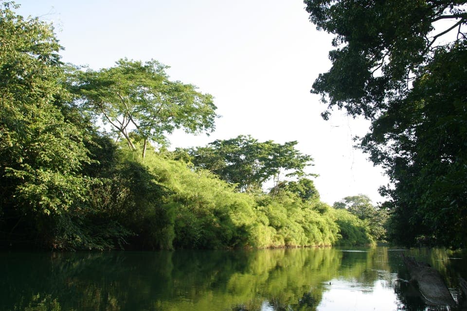 Land view from property