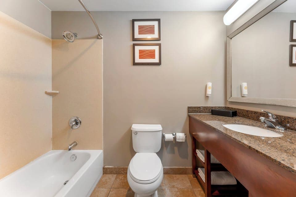 Combined shower/tub, free toiletries, hair dryer, towels