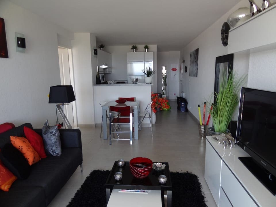 Entrance and open american kitchen on the living room