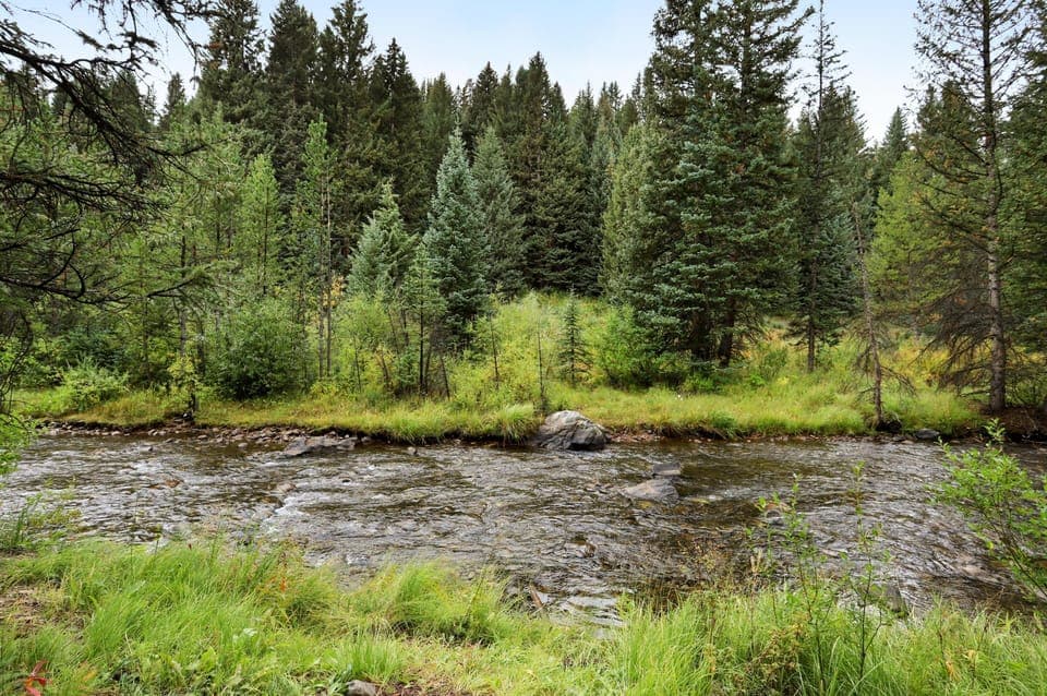 A clear river flows through a forested area with lush green trees and vegetation along the banks.