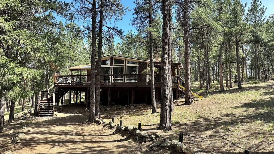 Peaceful Pines