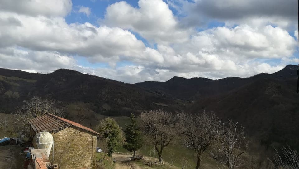 Apartment, 1 Bedroom, Hill View (Quercia) | View from room