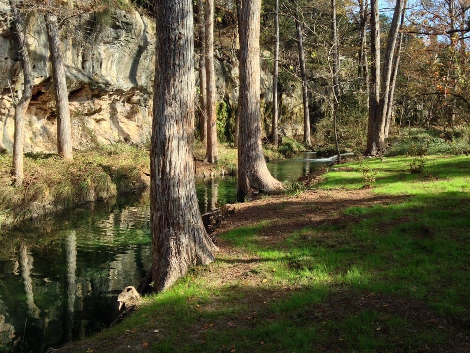 Portion of Lick Creek on property