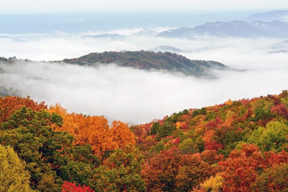 Awesome fall photo taken from our balcony by a guest!