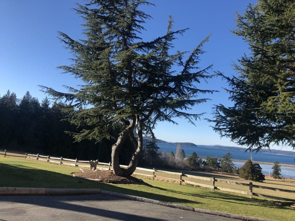 Enjoy our yard and the view