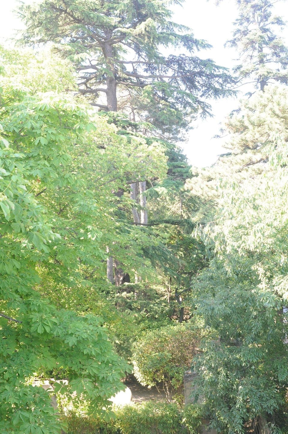 Parc vu des chambres de la Maison de Maitre