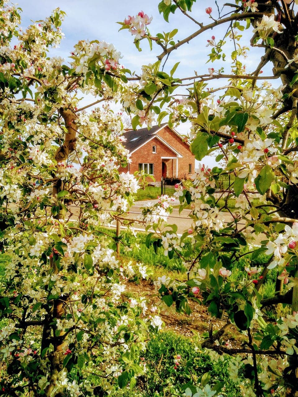 Villa, 4 Bedrooms | 4 bedrooms, down comforters, memory foam beds, individually decorated