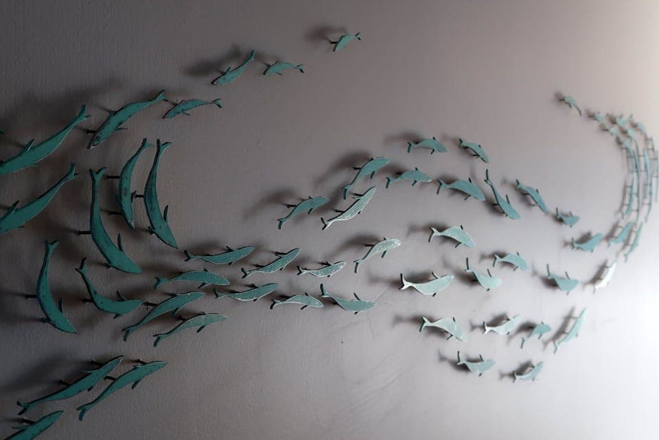 Contemporary New Zealand art pieces feature throughout