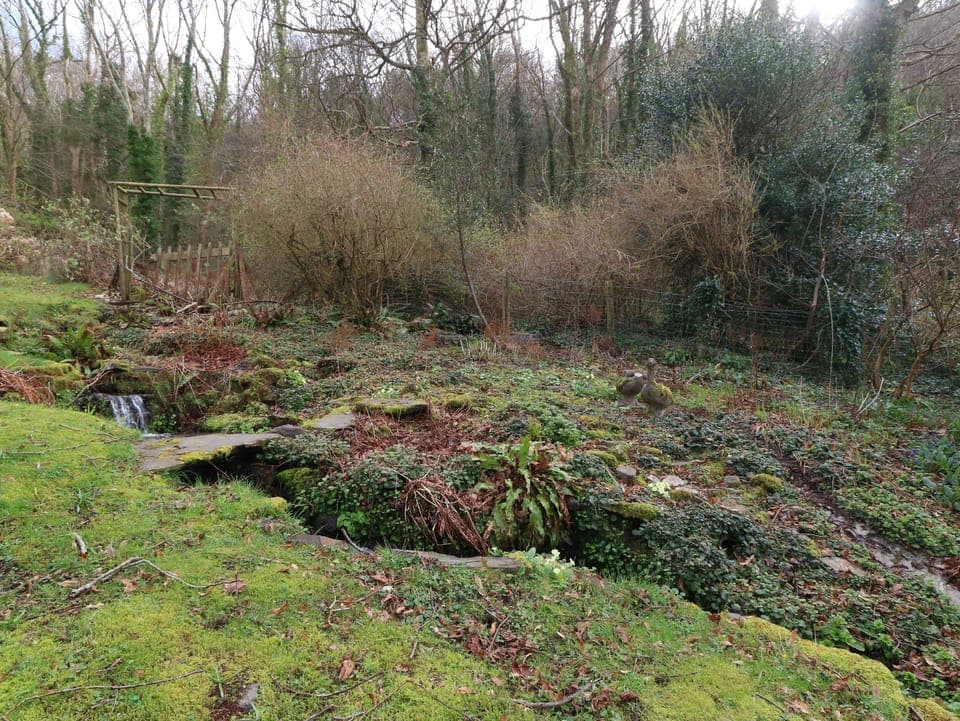 Cottage | Property grounds