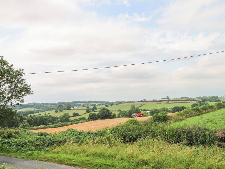 Cottage | Miscellaneous