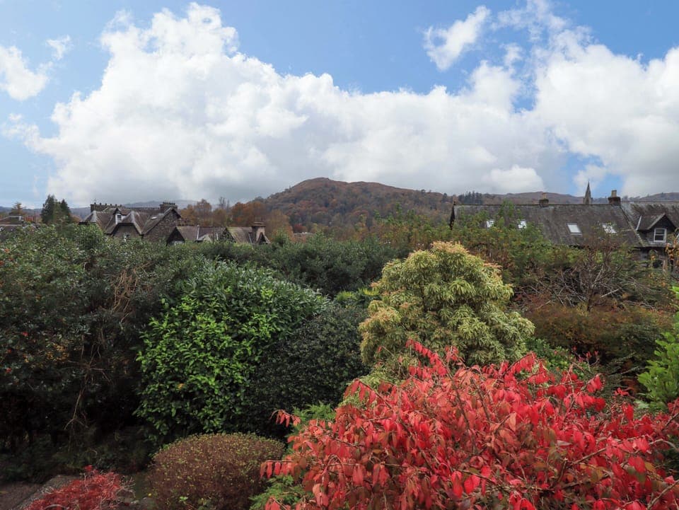 Cottage | Miscellaneous