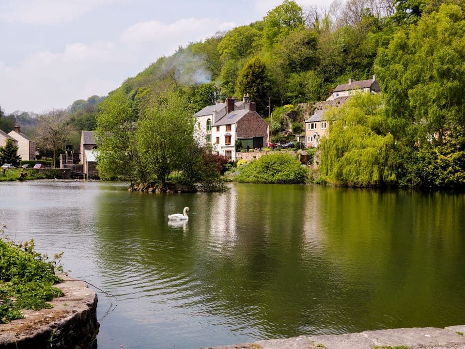 Cottage | Miscellaneous